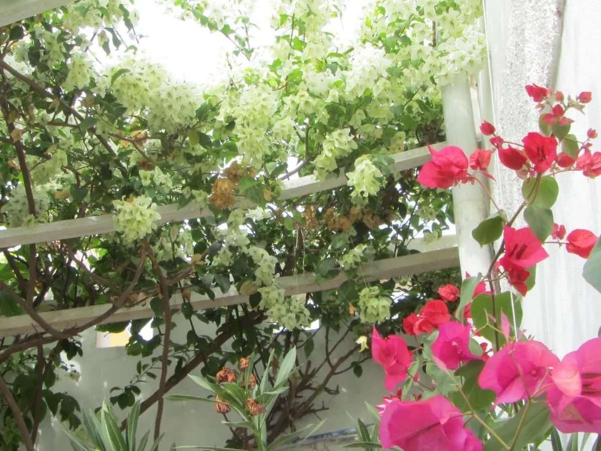Bed & Breakfast Casa Evora Calheta - réservation à la chambre Cidade do Maio Capo Verde